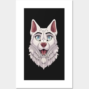 Shocked Surprised Expression White Husky Dog Posters and Art